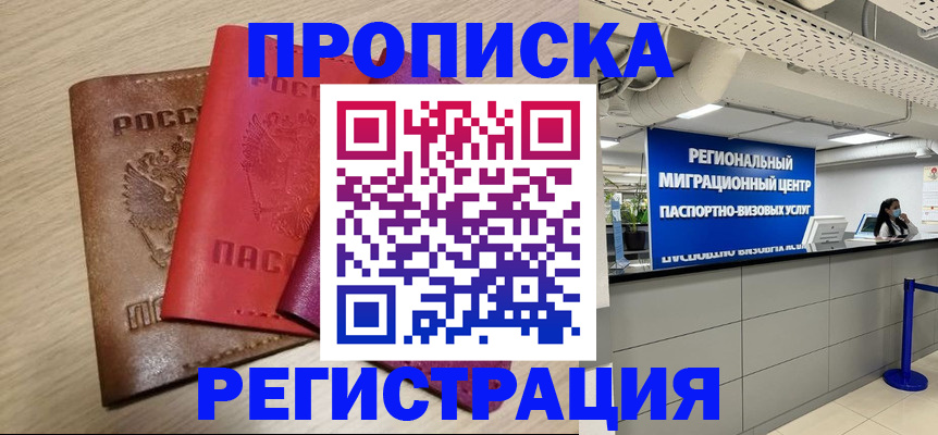 регистрация для школы в Ленинградской области